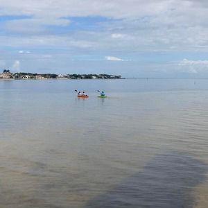 Meet your Posher, Elsayed